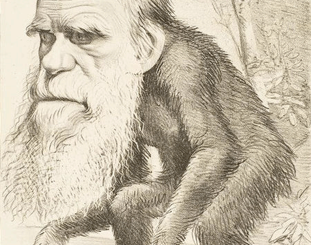 450px-darwin_ape111